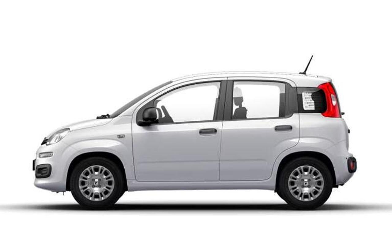Fiat Fiat Panda usata 9