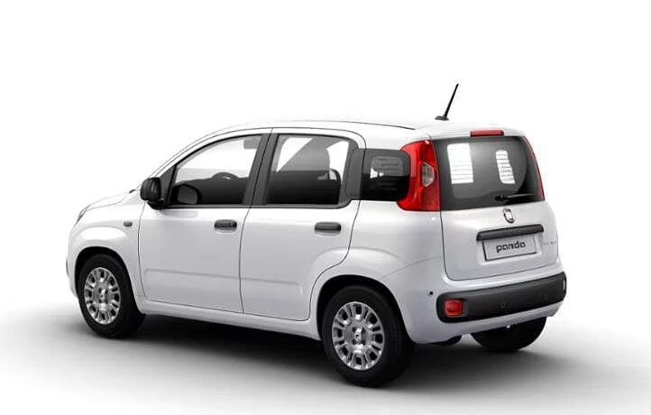 Fiat Fiat Panda usata 10