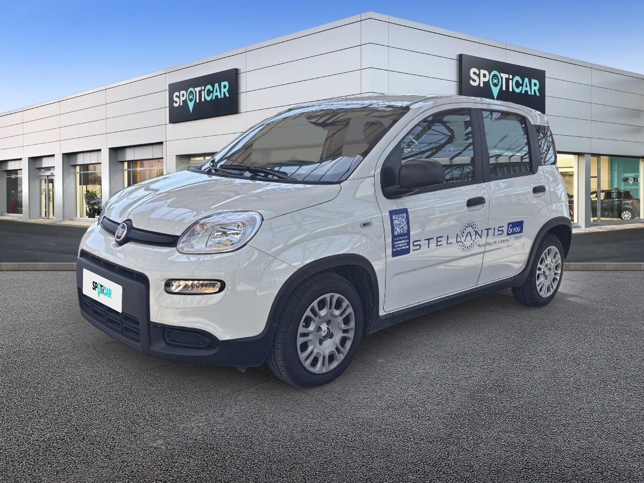FIAT FIAT PANDA Usato bianco MILD-HYBRID-PETROL 2024