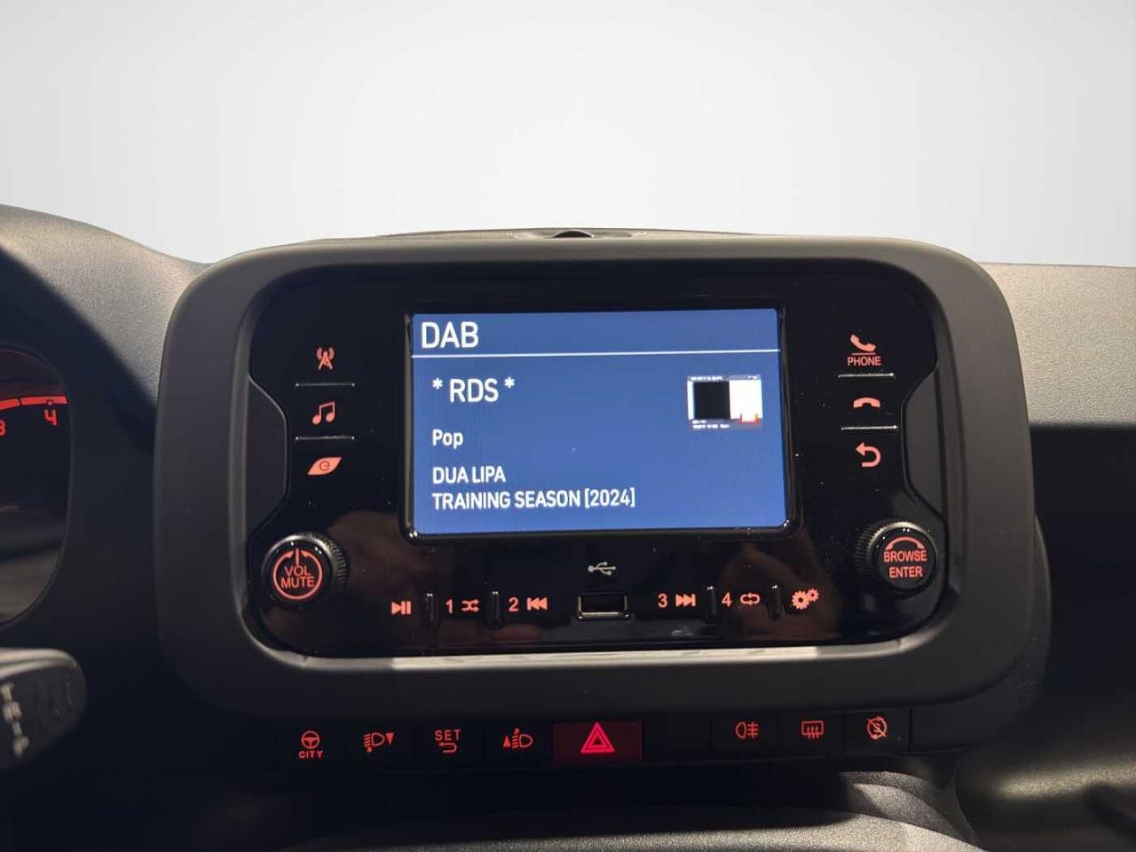 Fiat Fiat Panda usata 7