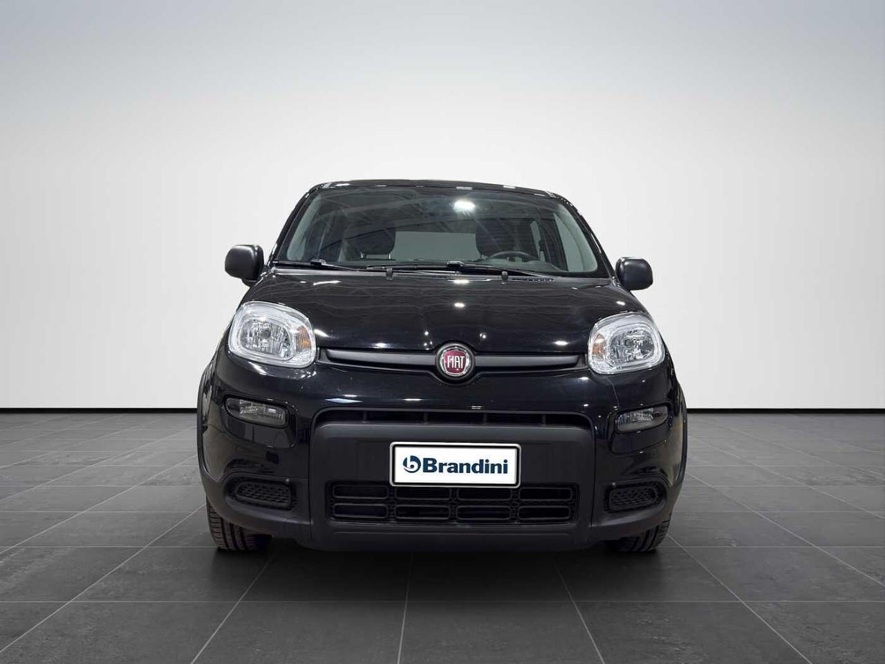 Fiat Fiat Panda usata 11