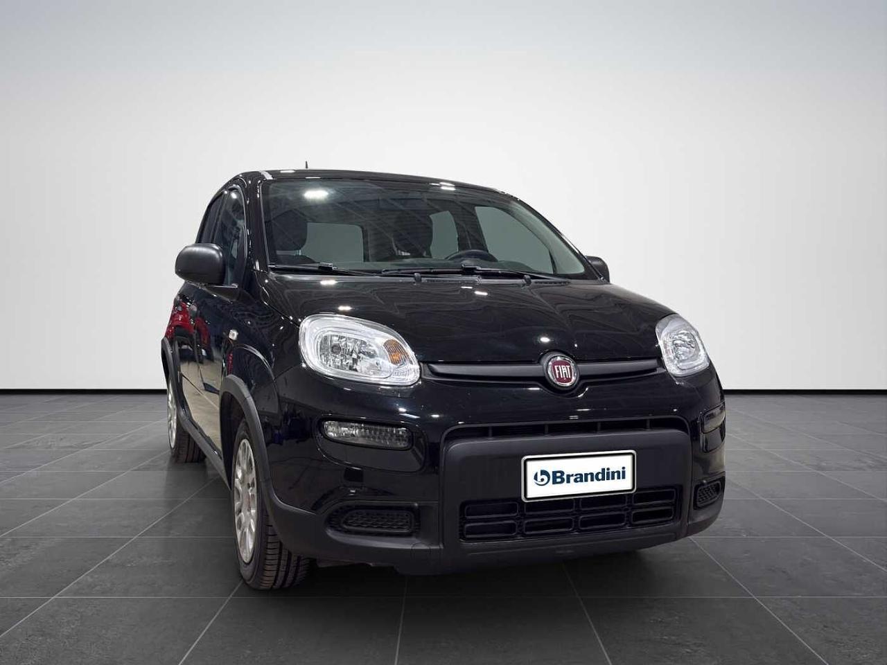 Fiat Fiat Panda usata 21