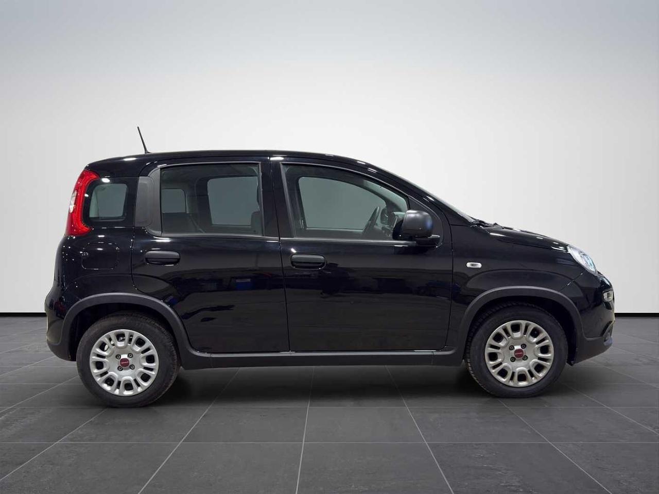 Fiat Fiat Panda usata 22