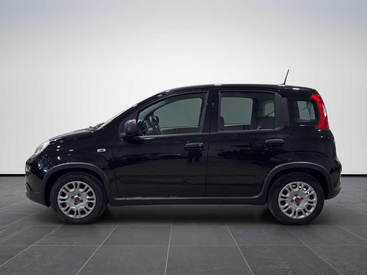 Fiat Fiat Panda usata 26