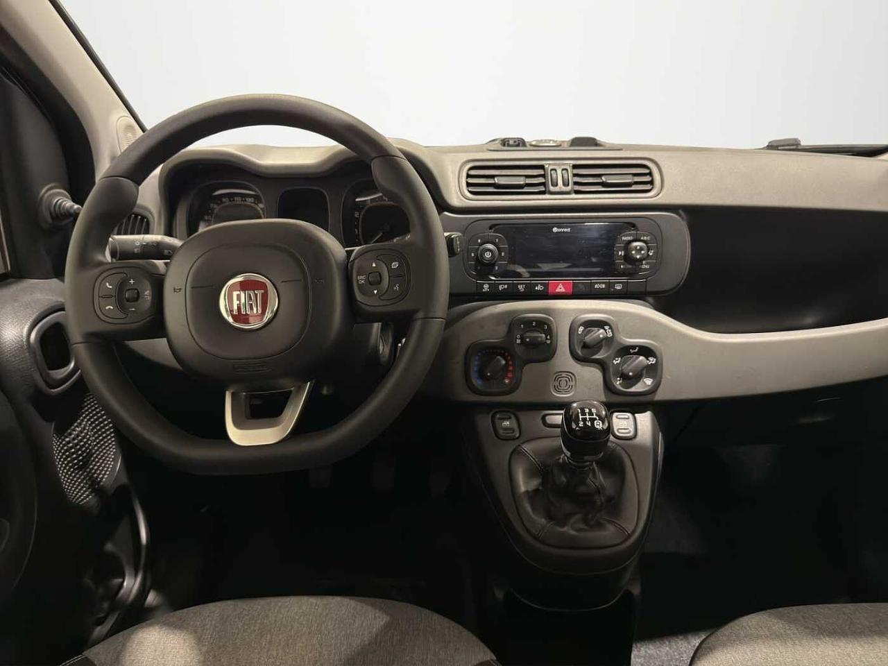 Fiat Fiat Panda usata 5