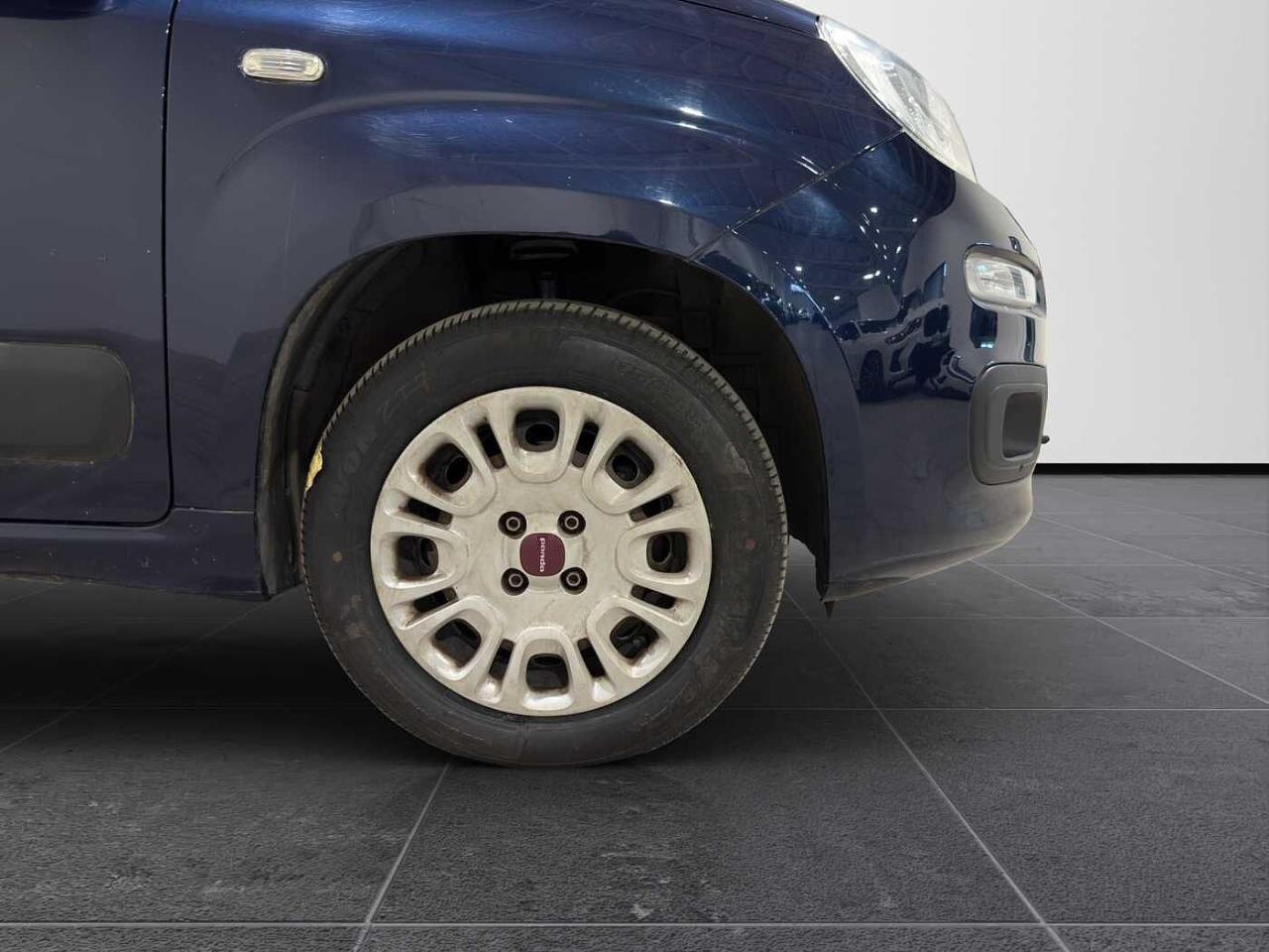 Fiat Fiat Panda usata 16