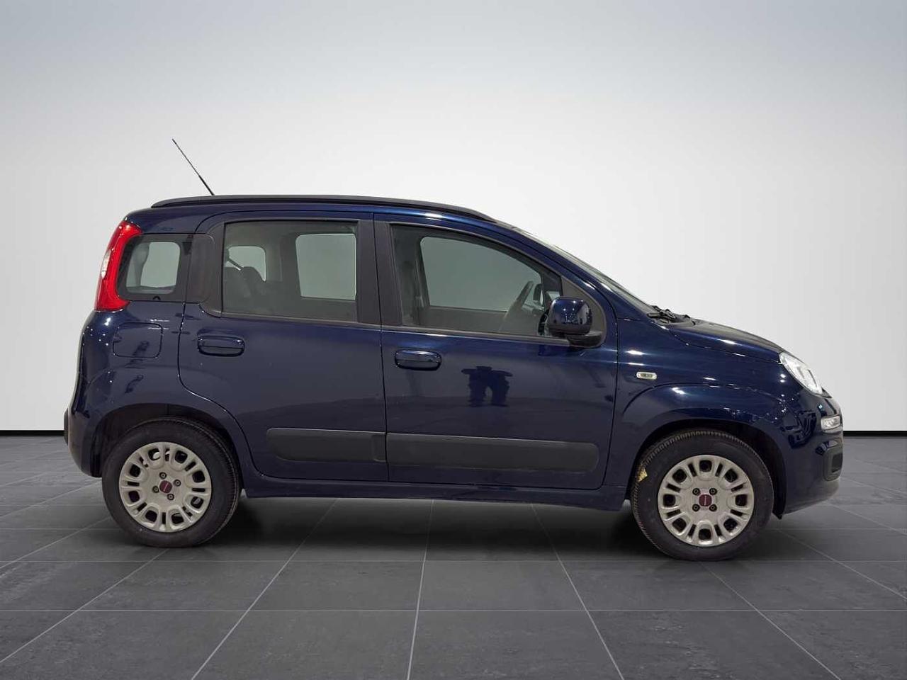 Fiat Fiat Panda usata 24