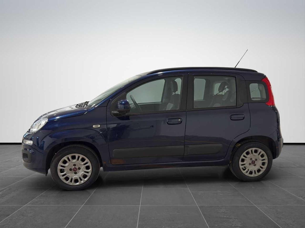 Fiat Fiat Panda usata 28