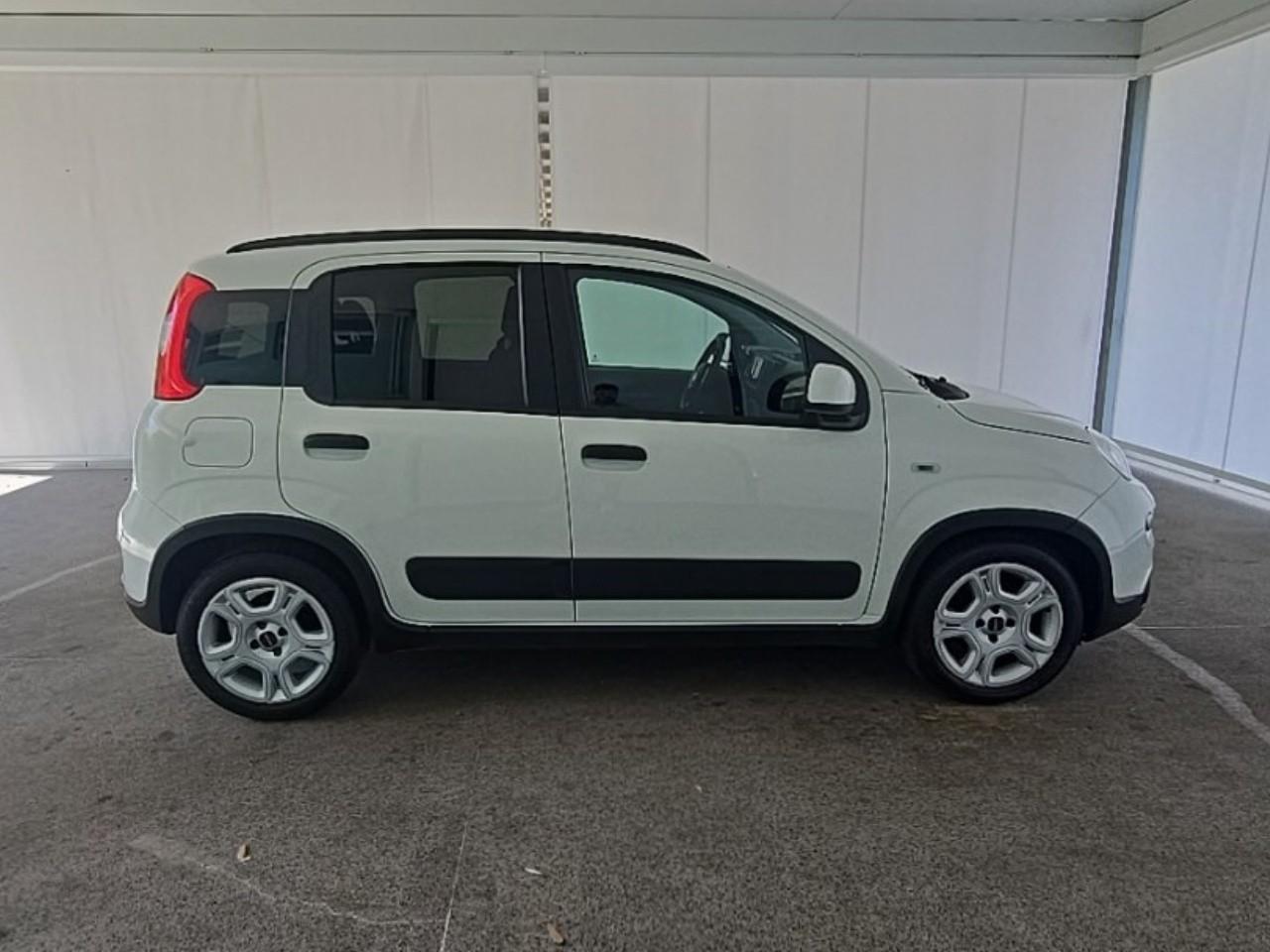 Fiat Fiat Panda usata 14