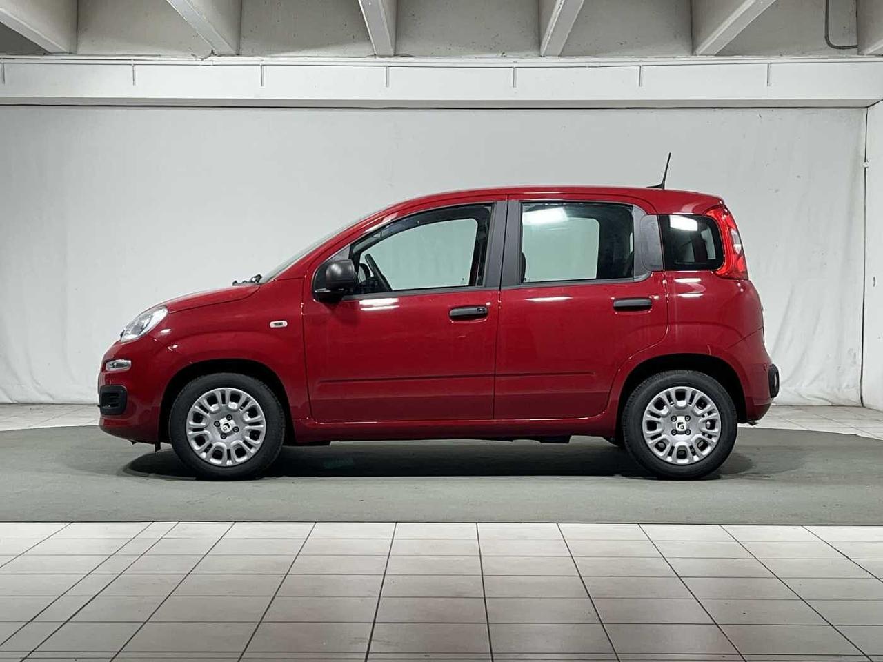 Fiat Fiat Panda usata 11