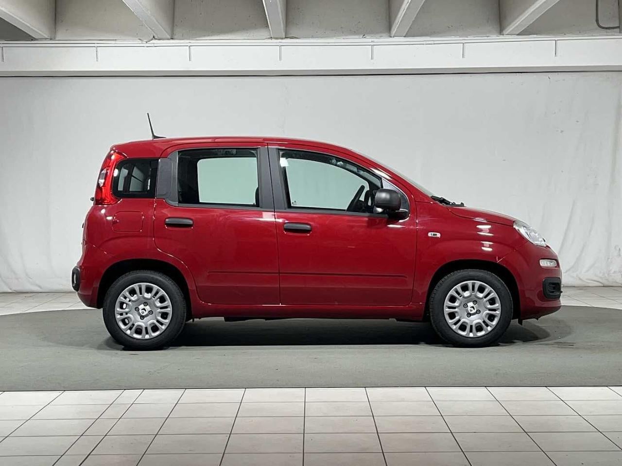 Fiat Fiat Panda usata 26
