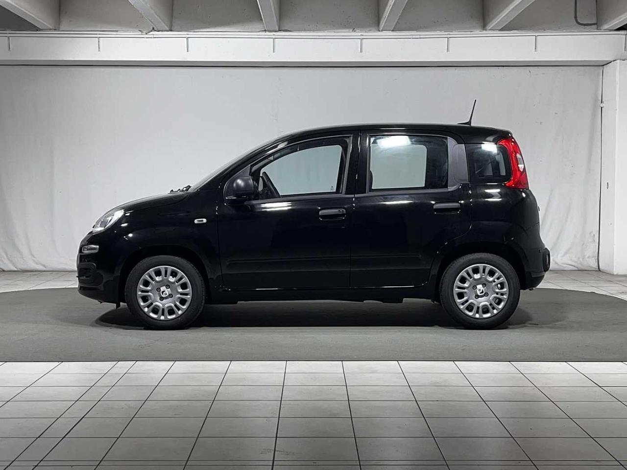 Fiat Fiat Panda usata 11