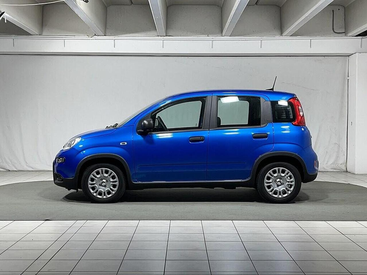 Fiat Fiat Panda usata 11