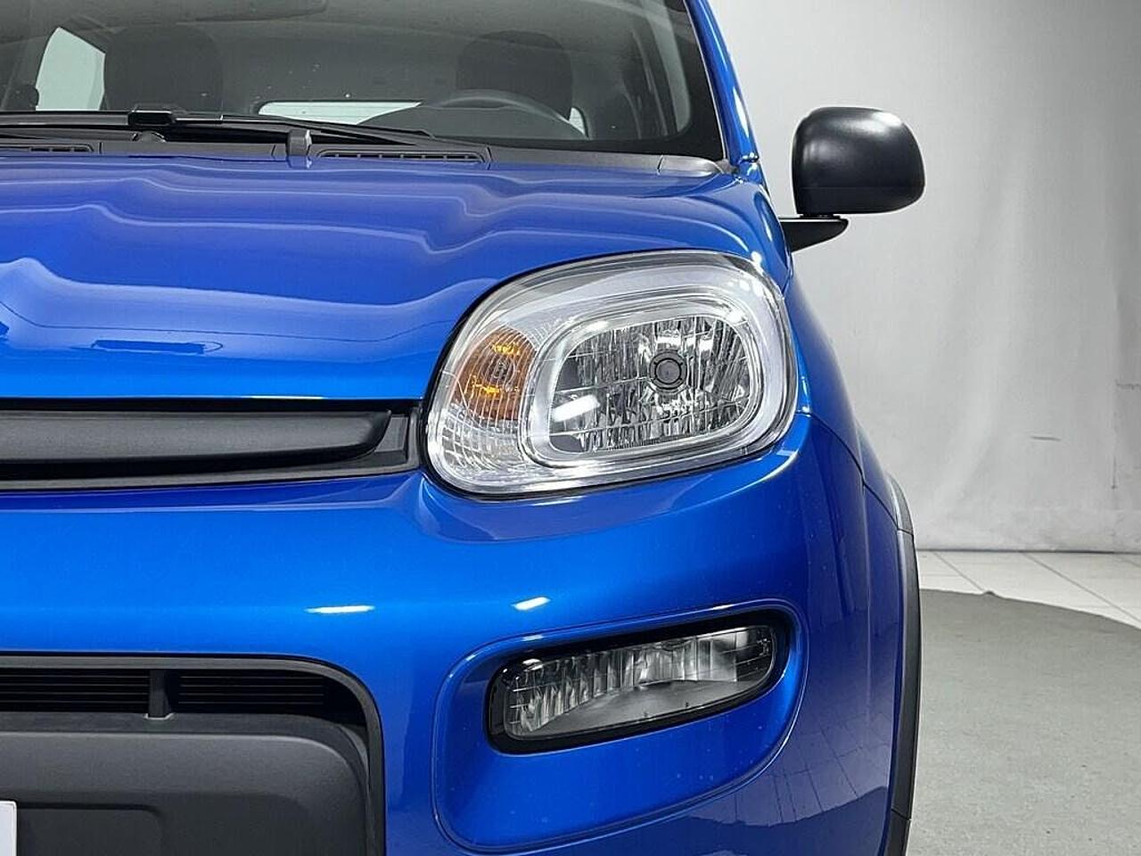 Fiat Fiat Panda usata 21