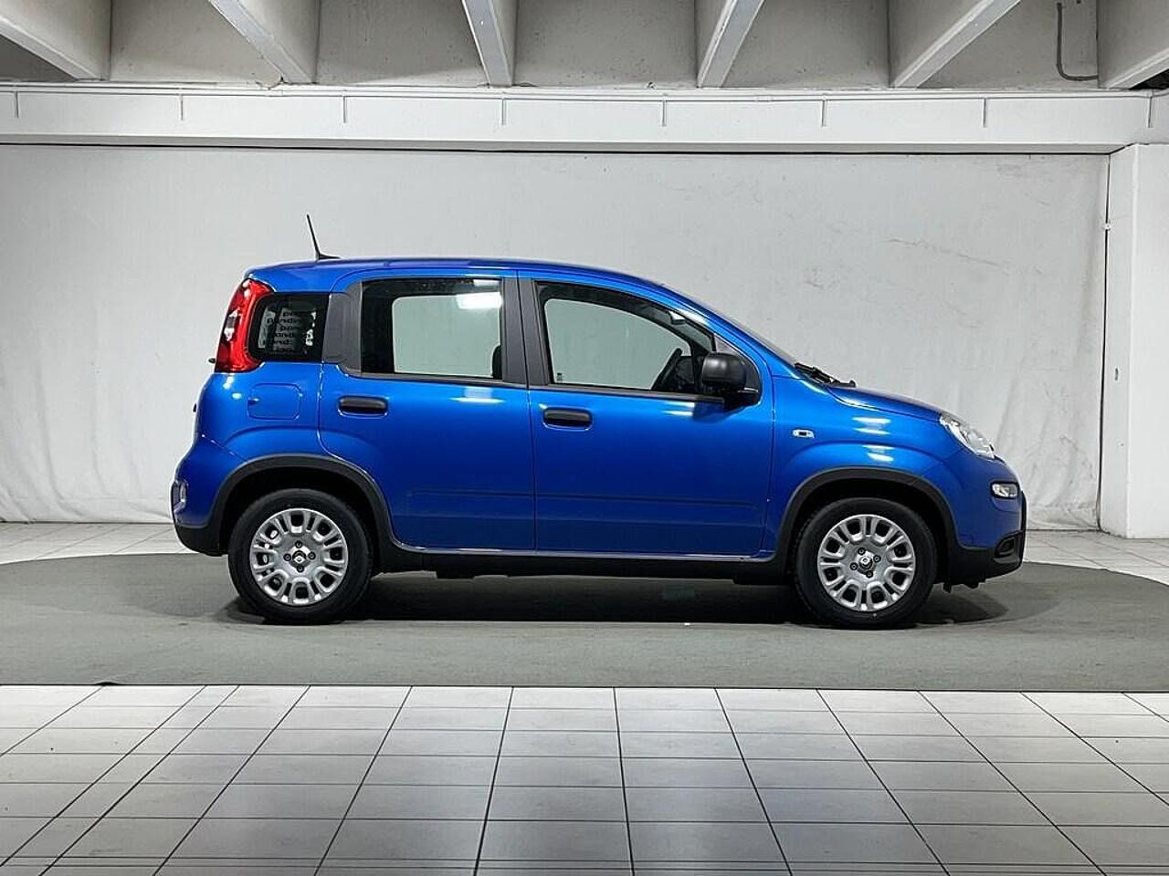Fiat Fiat Panda usata 26