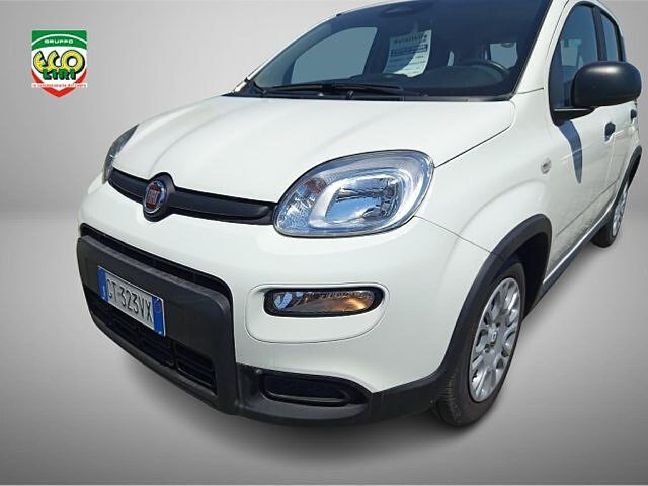 Fiat Fiat Panda usata 7