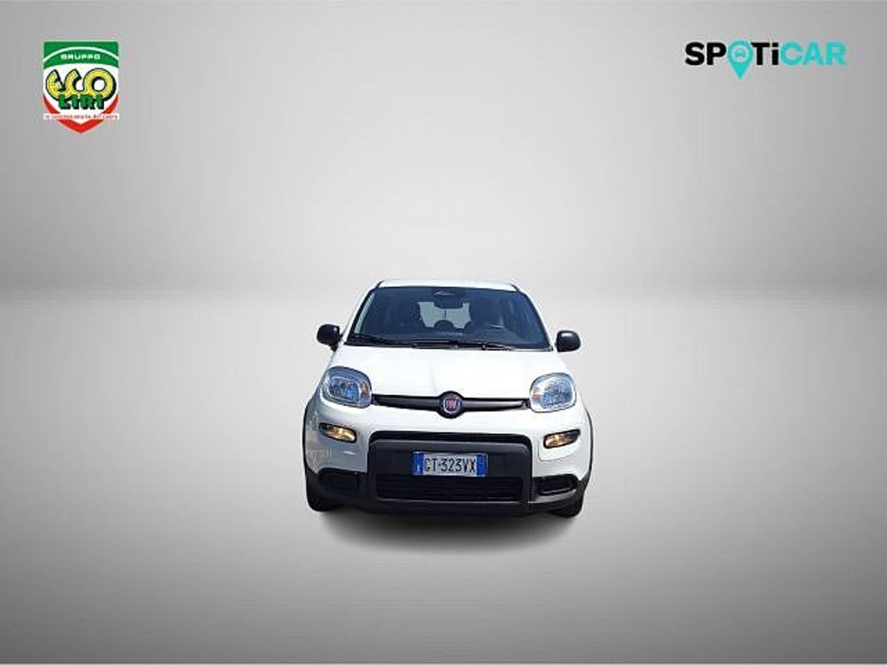 Fiat Fiat Panda usata 11