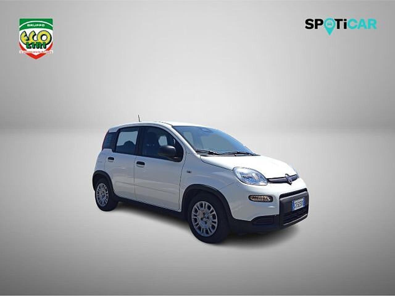 Fiat Fiat Panda usata 17