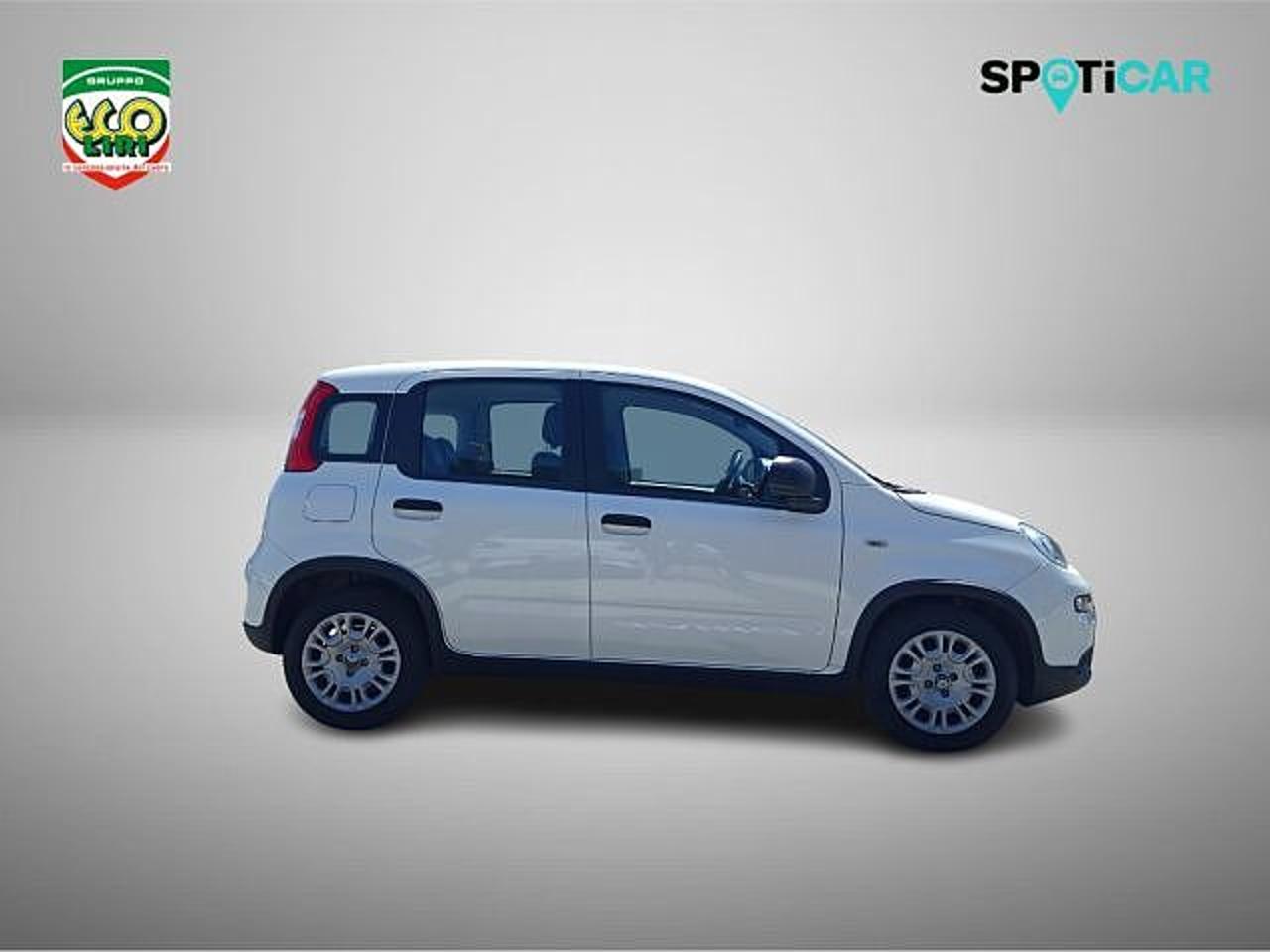 Fiat Fiat Panda usata 18