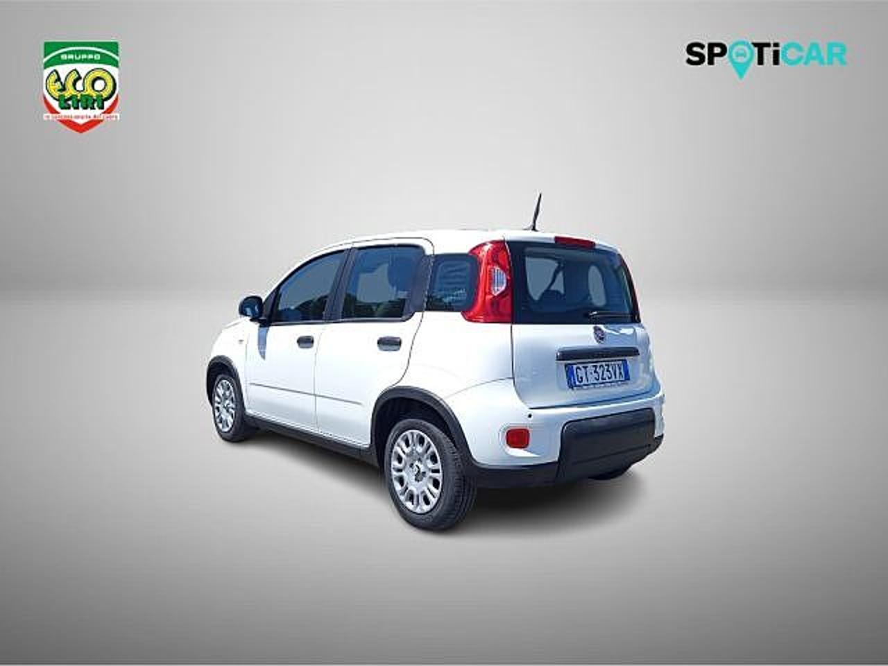 Fiat Fiat Panda usata 21
