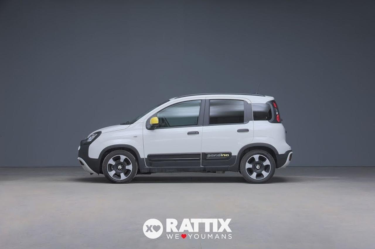 Fiat Fiat Panda usata 11