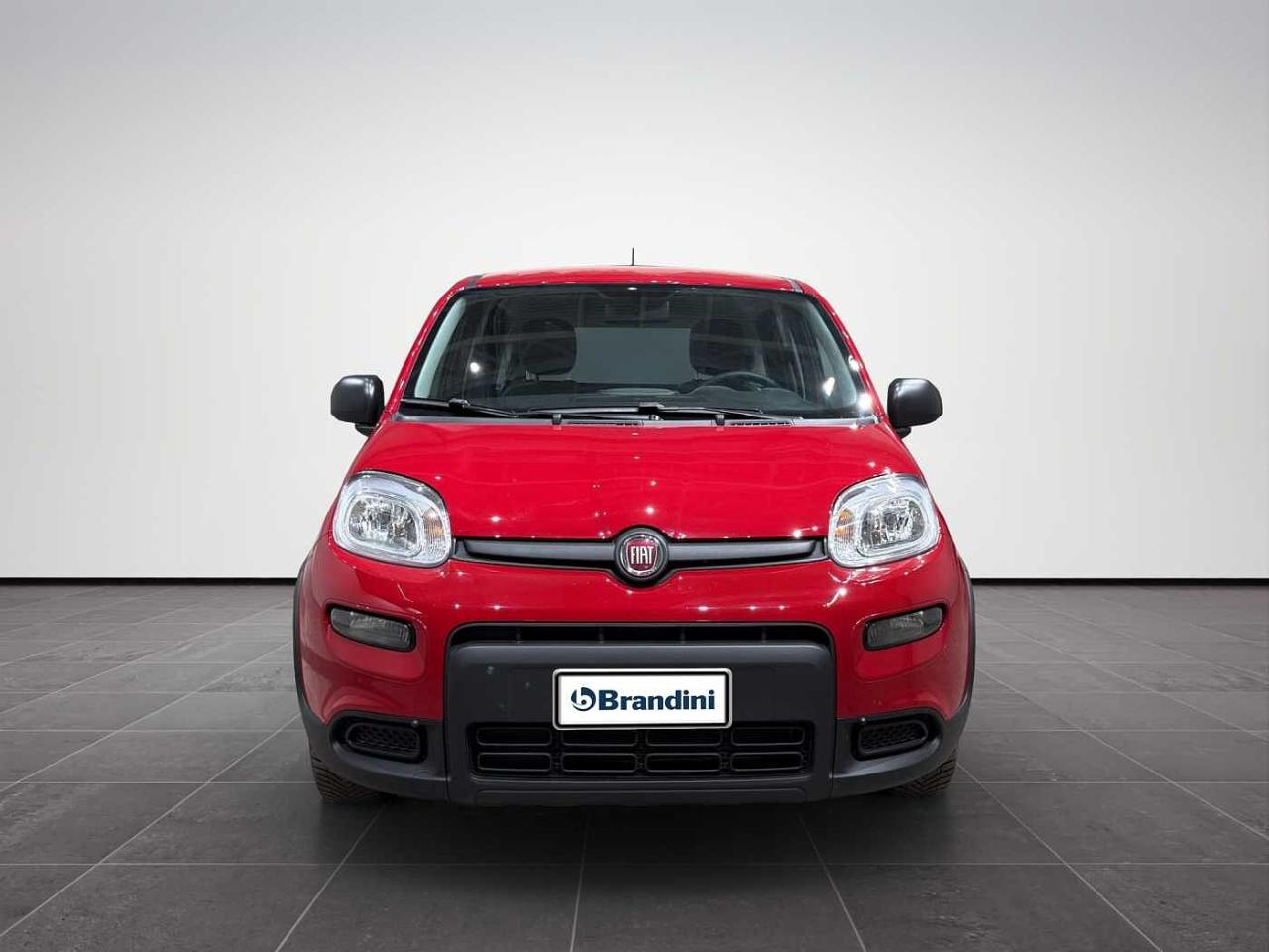 Fiat Fiat Panda usata 11