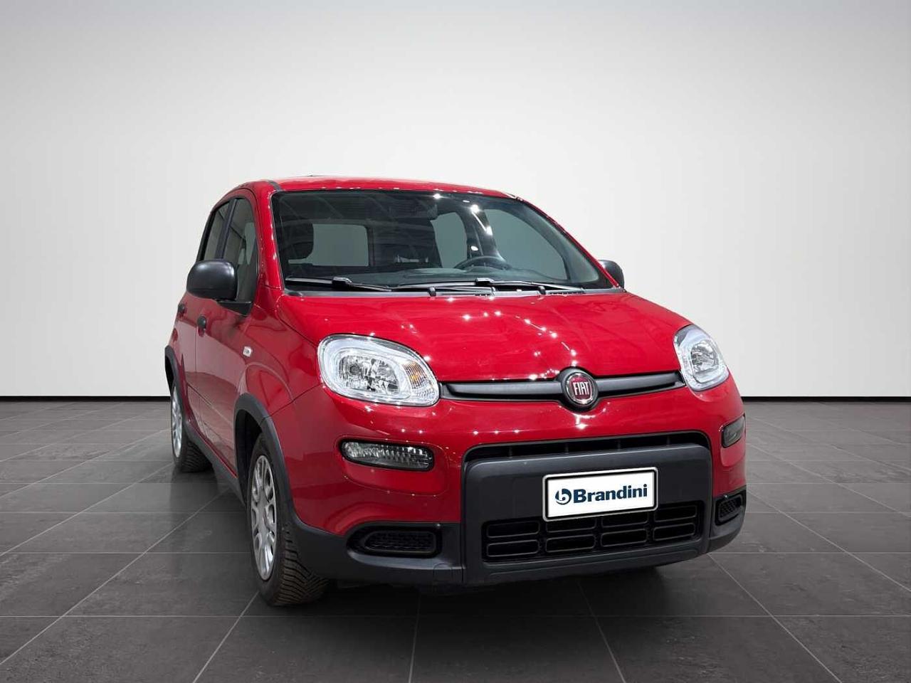 Fiat Fiat Panda usata 21