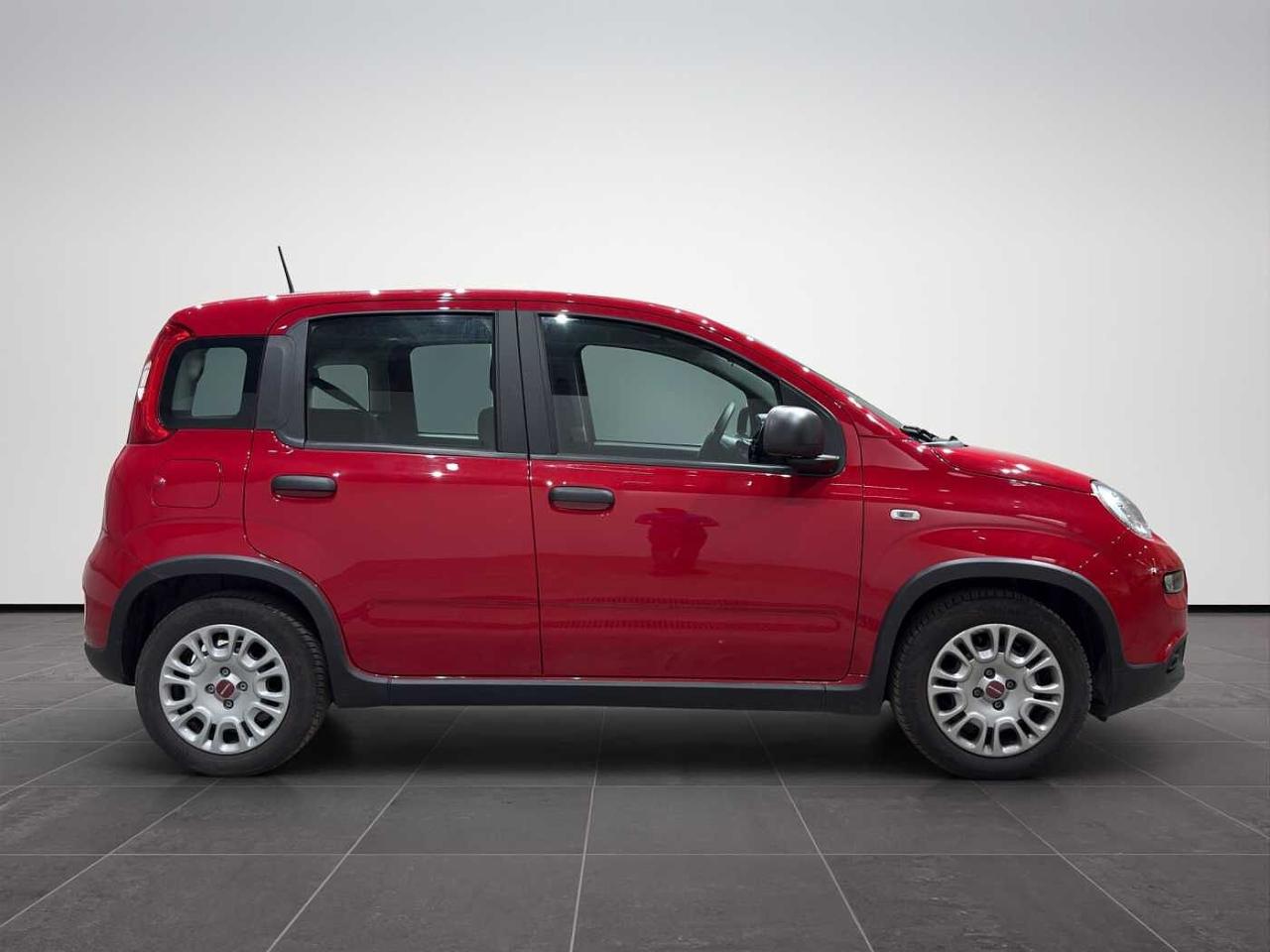 Fiat Fiat Panda usata 22