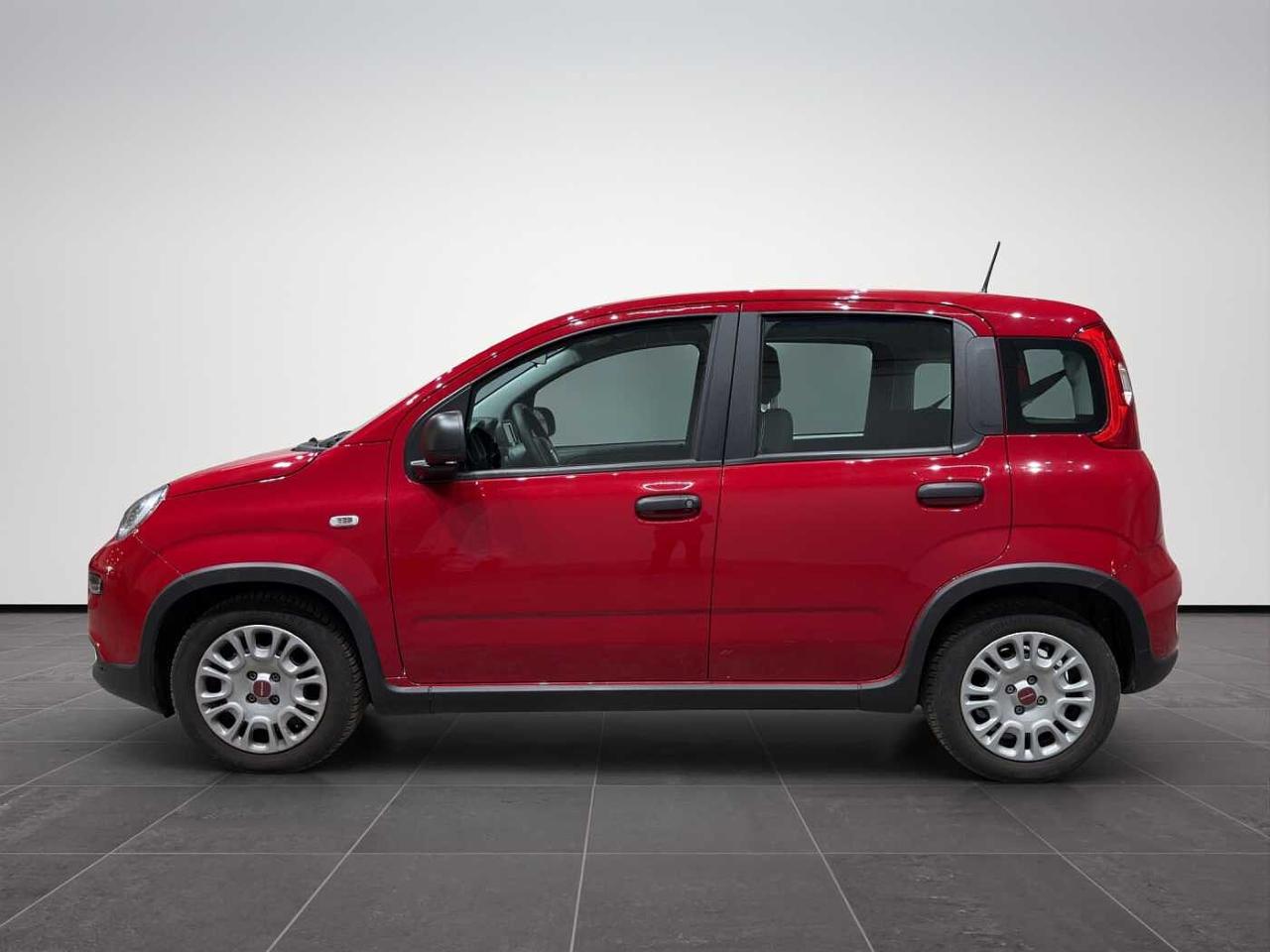 Fiat Fiat Panda usata 26