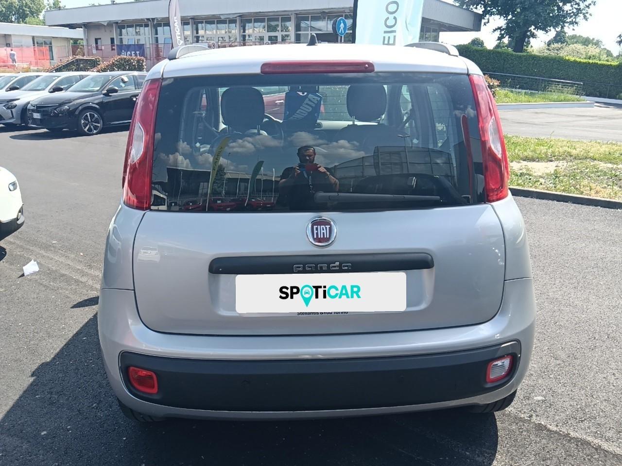Fiat Fiat Panda usata 14