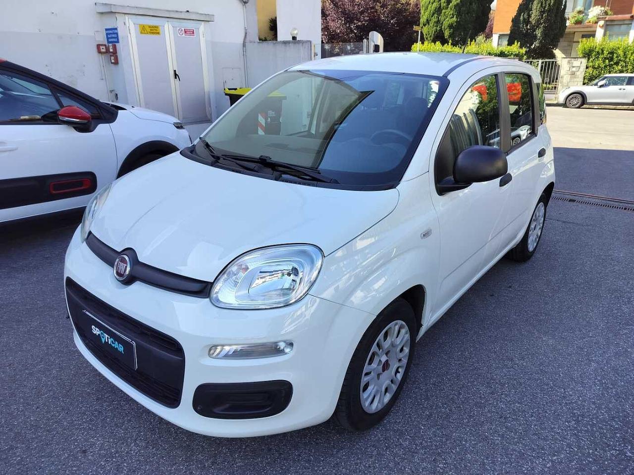 Fiat Fiat Panda usata 11
