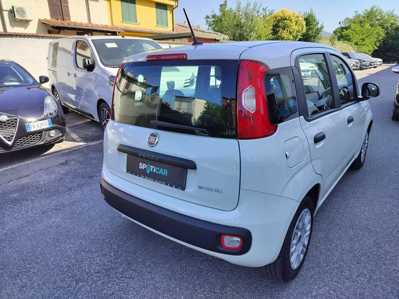 Fiat Fiat Panda usata 14