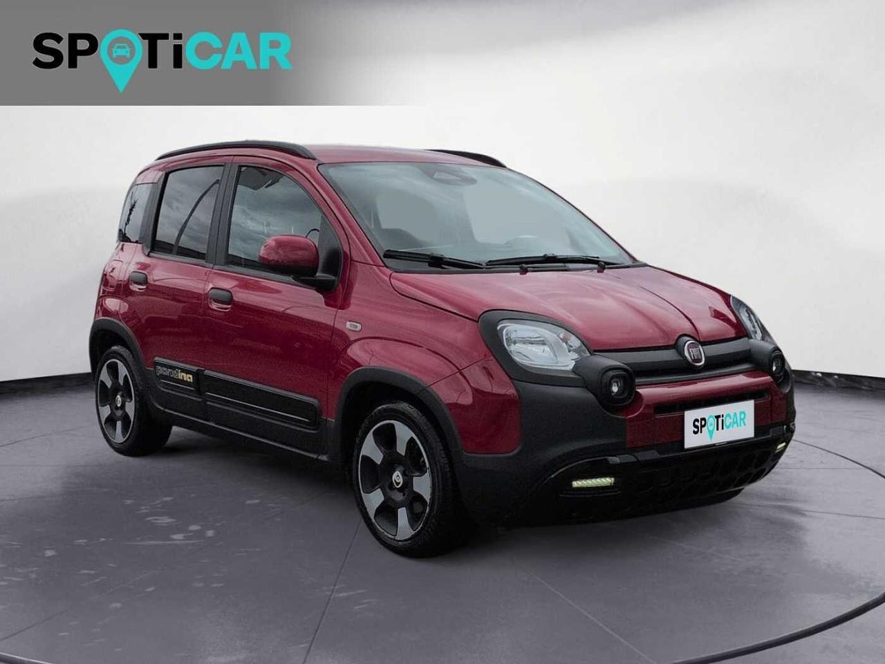 Fiat Fiat Panda usata 13