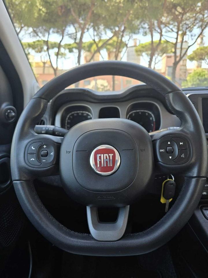 Fiat Fiat Panda usata 12