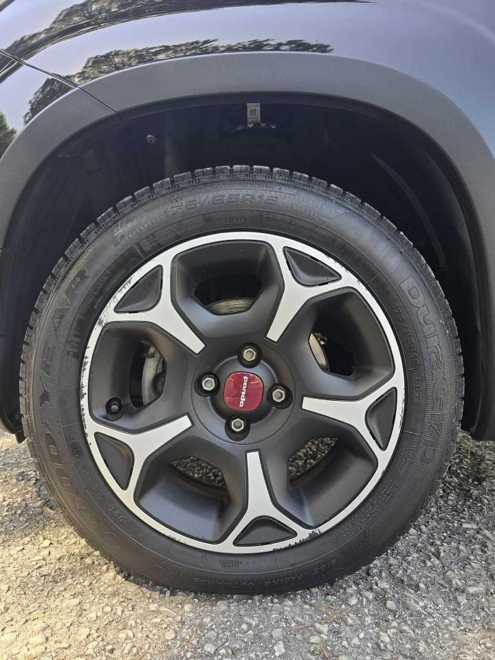 Fiat Fiat Panda usata 14