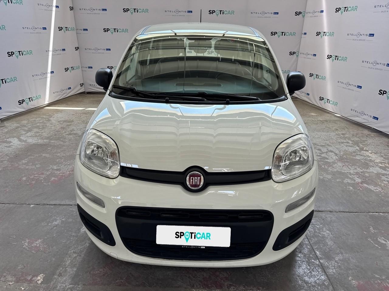 Fiat Fiat Panda usata 11