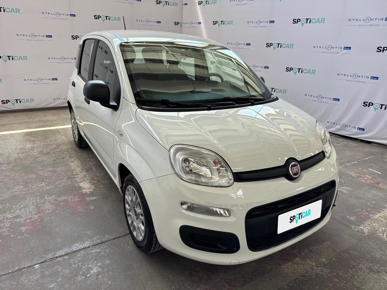 Fiat Fiat Panda usata 14