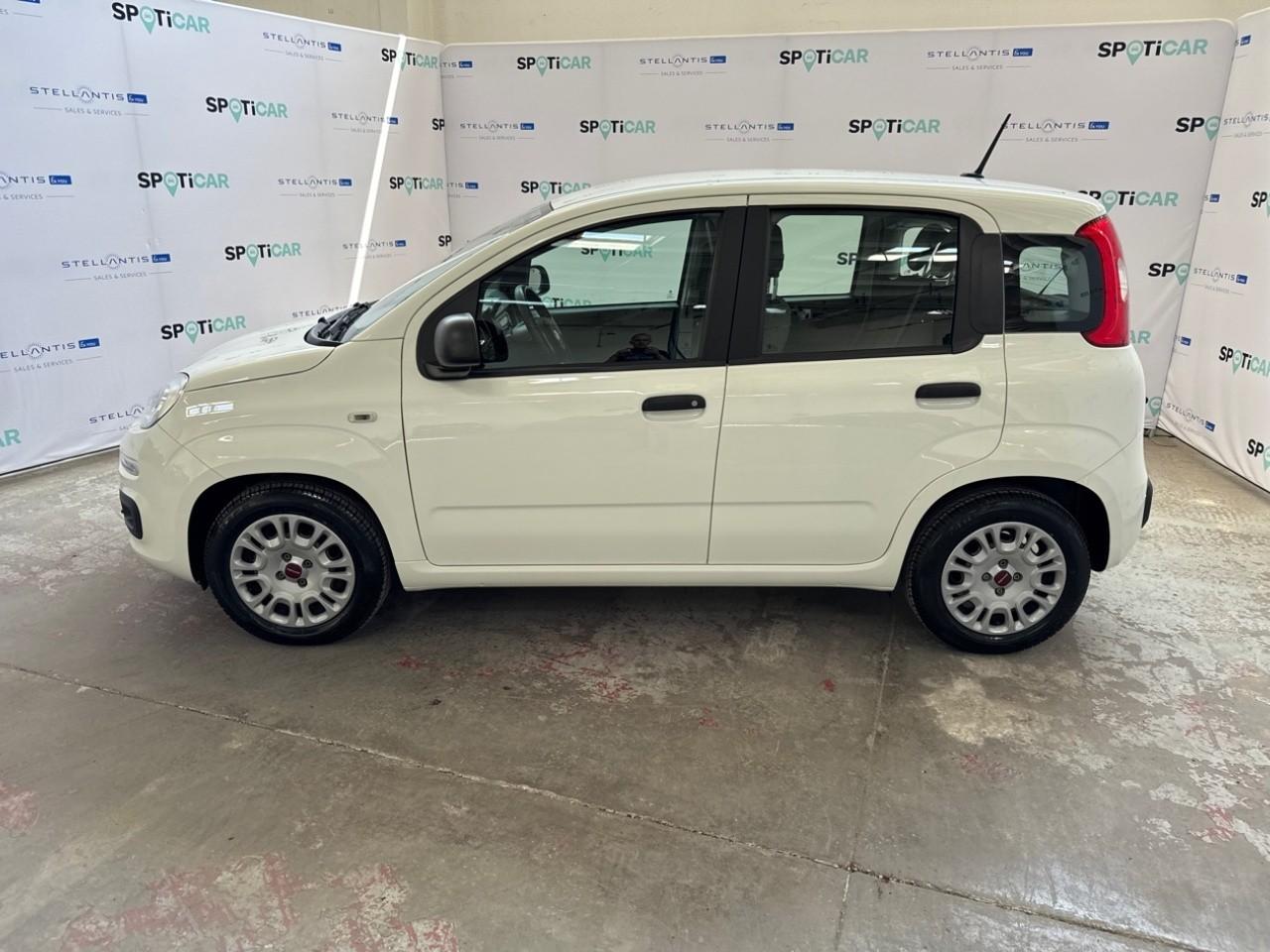 Fiat Fiat Panda usata 15