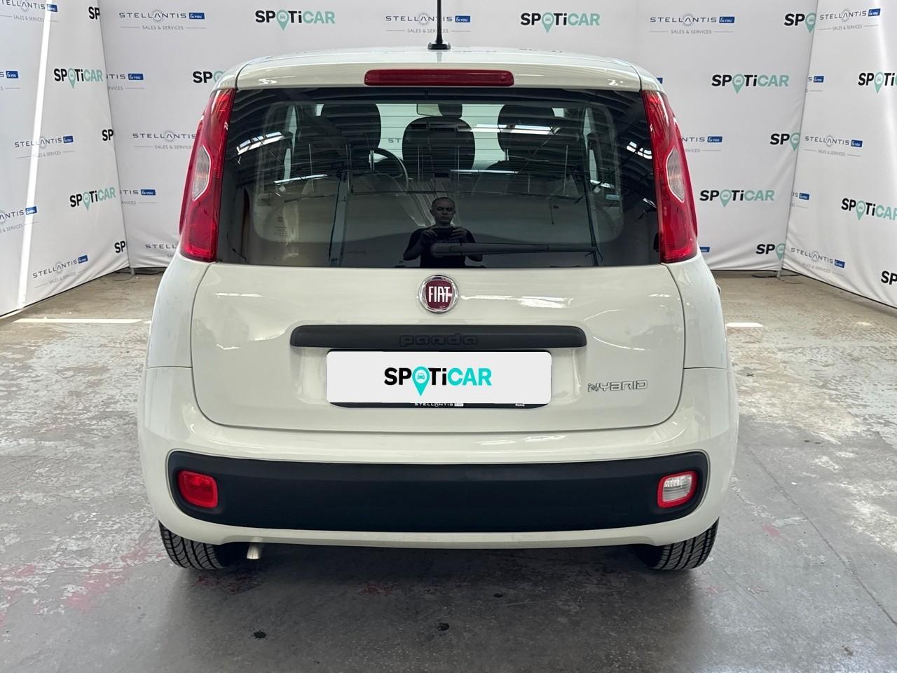 Fiat Fiat Panda usata 16