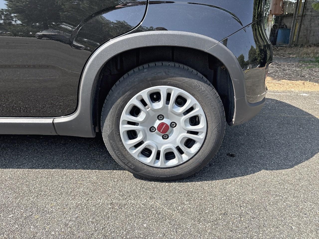 Fiat Fiat Panda usata 2