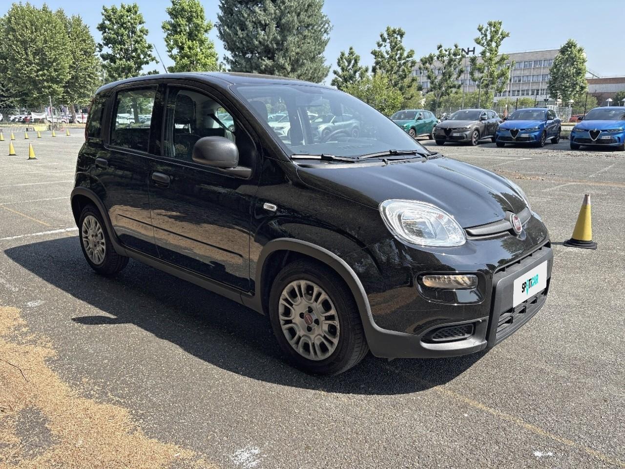 Fiat Fiat Panda usata 14