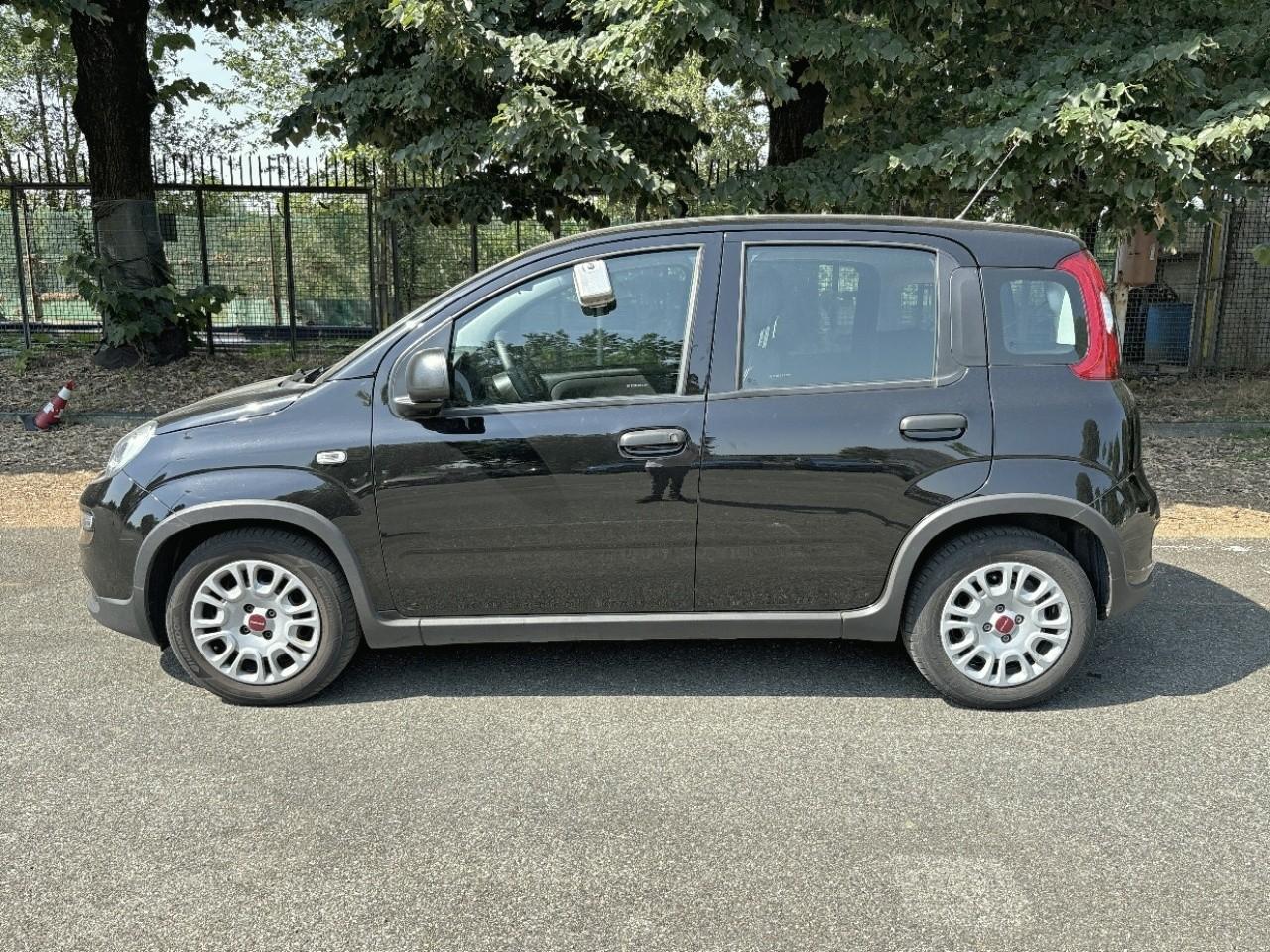 Fiat Fiat Panda usata 15