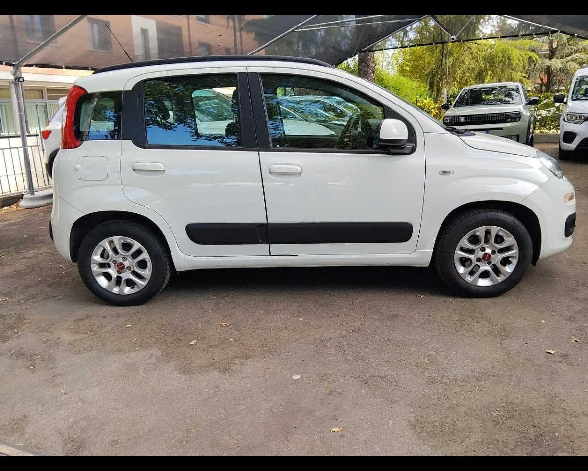 Fiat Fiat Panda usata 10