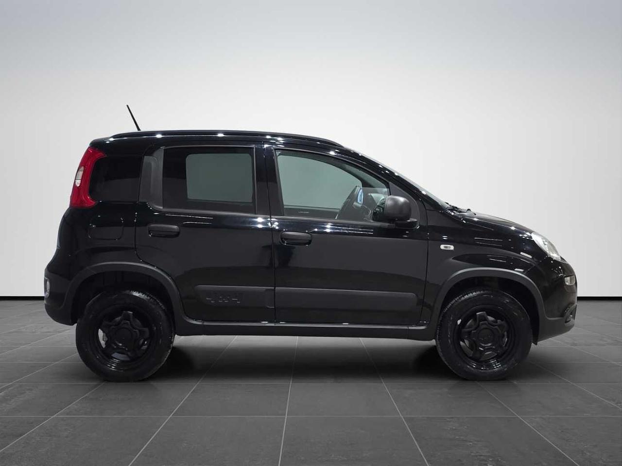Fiat Fiat Panda usata 24