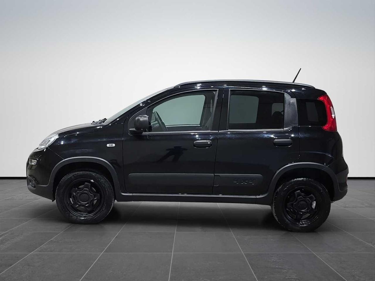 Fiat Fiat Panda usata 28