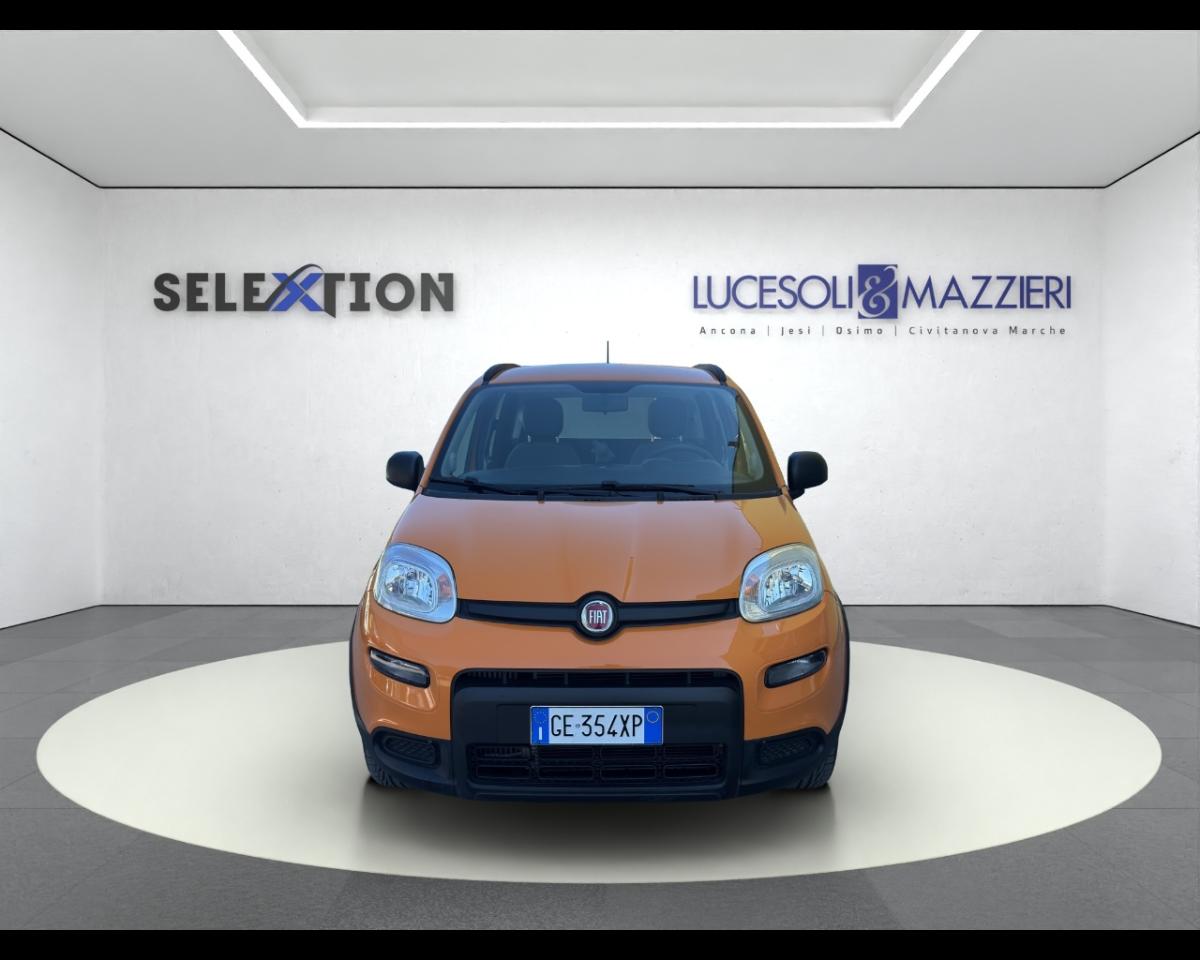 Fiat Fiat Panda usata 12
