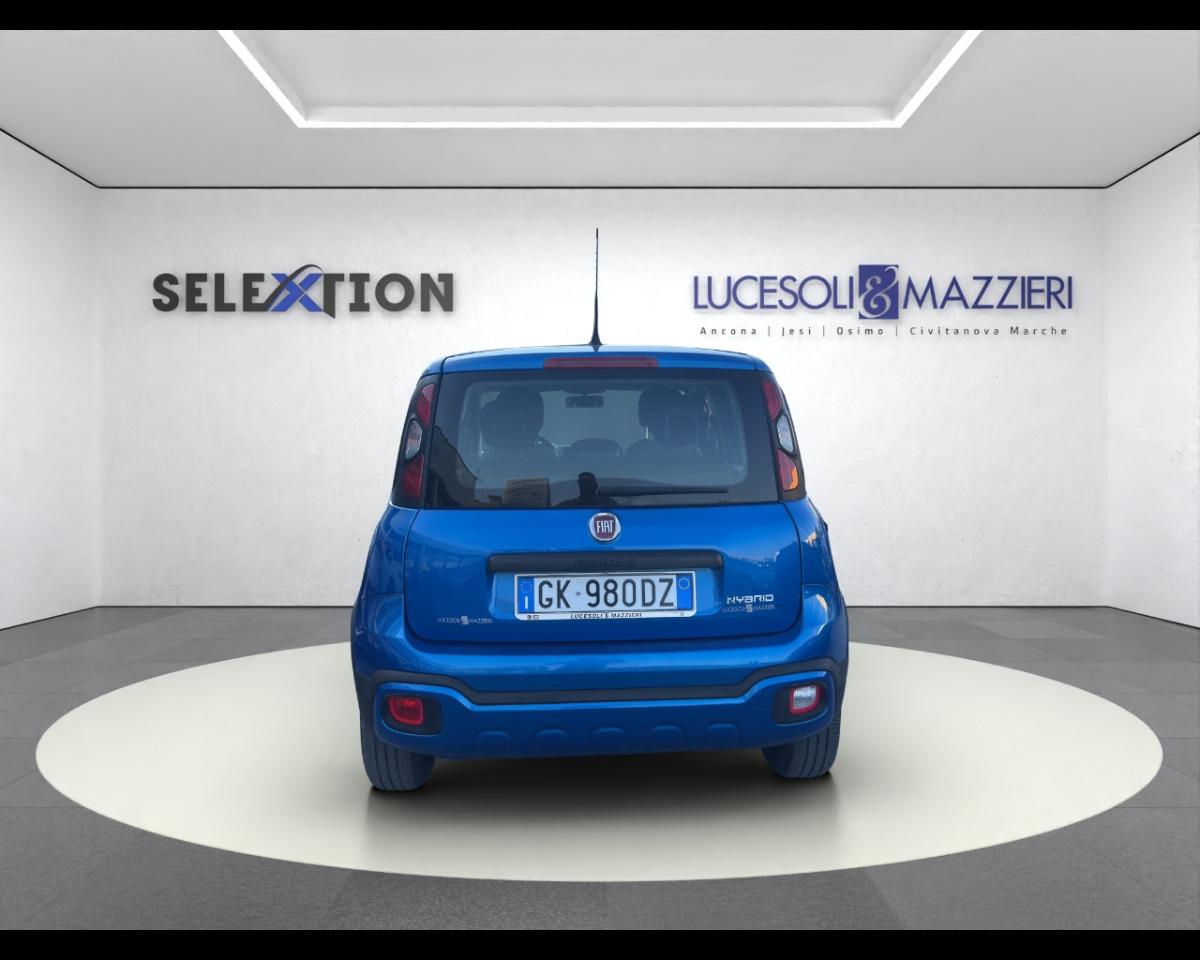 Fiat Fiat Panda usata 12
