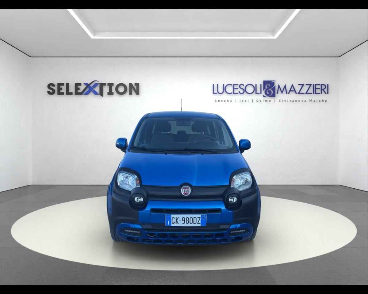 Fiat Fiat Panda usata 13