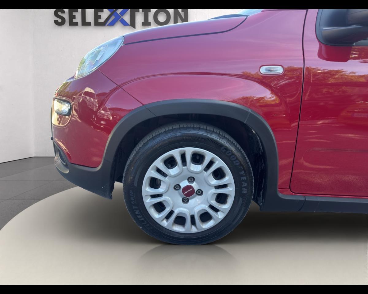 Fiat Fiat Panda usata 5