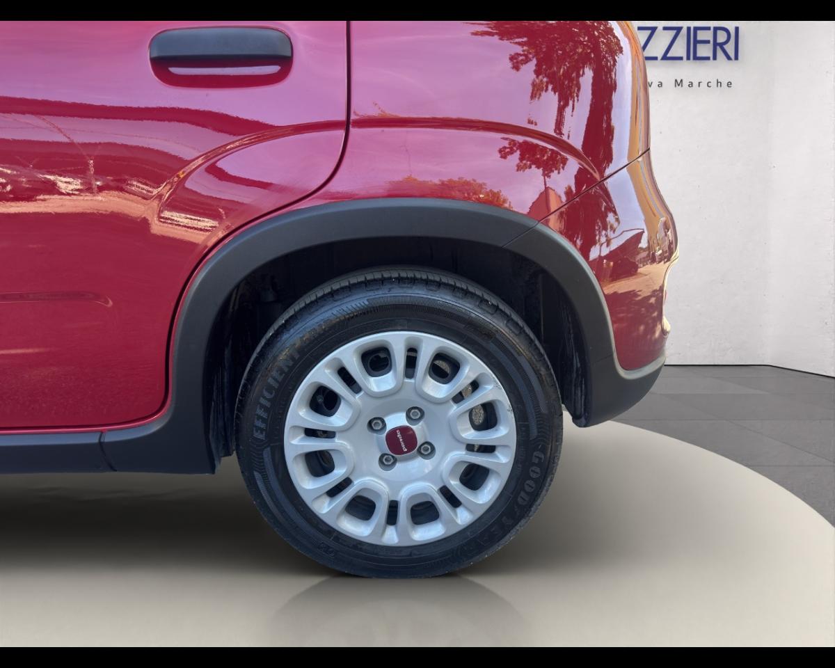 Fiat Fiat Panda usata 12
